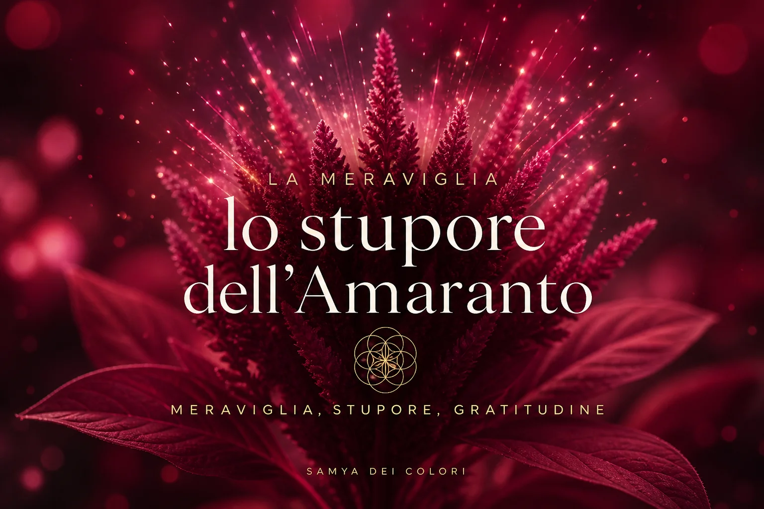 L'Amaranto in moda e arredo